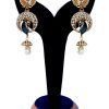 Buy Online Meenakari Peacock Earrings for Weddings in Blue Stones-0